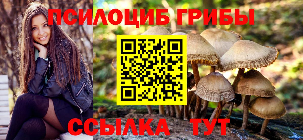 Псилоцибиновые грибы прущие грибы Новый Уренгой
