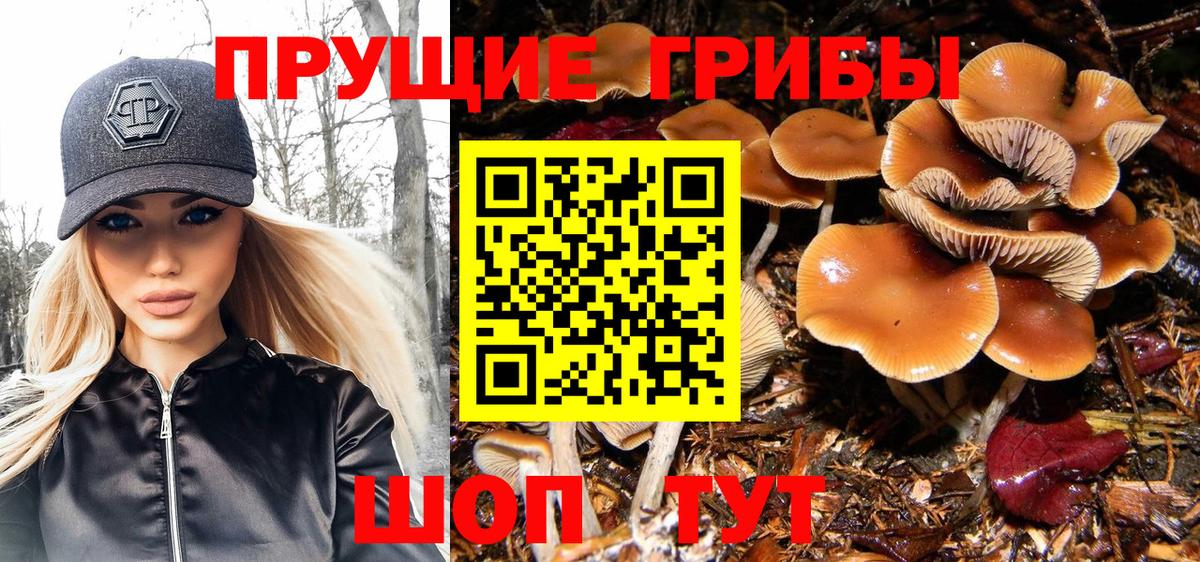 Новый Уренгой  что такое наркотик  Галлюциногенные грибы MAGIC MUSHROOMS  Вход с VPN  Галлюциногенные грибы Psilocybine cubensis 